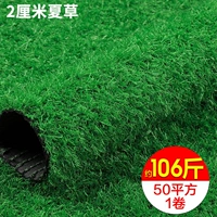 Плотно утолщенная летняя трава толщиной 2 см составляет около 2,12 кг на квадратный метр, цена за квадратный метр.