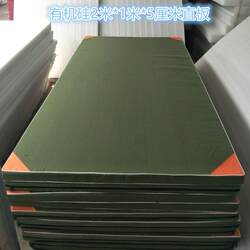 Gymnastics Mat 1m * 2m Sanda Somersault Mat Portable Mat Wrestling Mat Dance Mat Competition Training Mat Folding Mat