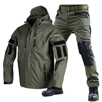 Зеленый комплект, штаны