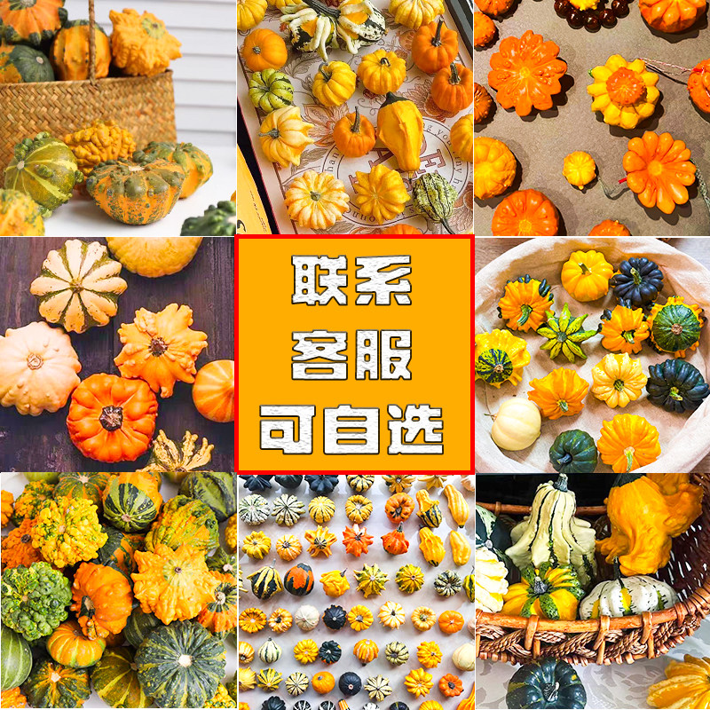 メキシコのひょうたん型装飾ミニカボチャ、ディスプレイ用、カラフルなハロウィン人形装飾