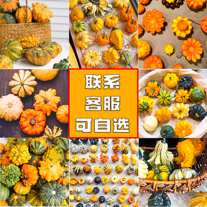 Mexican Gourd-Shaped Novelty Decorative Small Pumpkin for Display, Colorful Halloween Ornament