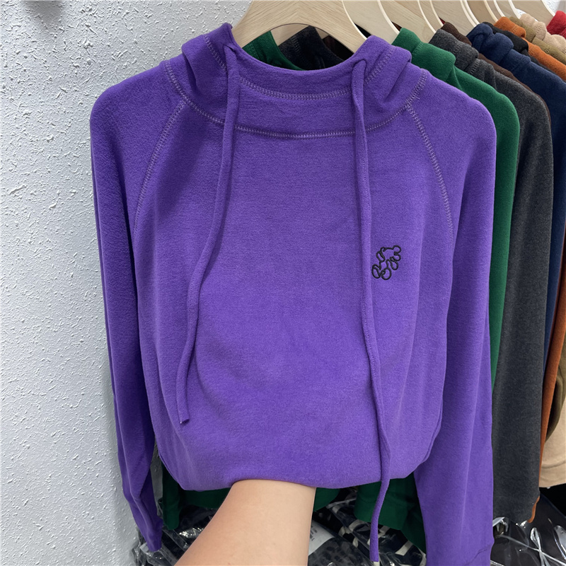 European Style Hooded Drawstring Embroidered Double-Sided Thermal Fleece Sweatshirt for Women, 2025 Autumn and Winter New Loose-Fitting Base Layer Hoodie Top, Trendy
