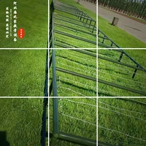 New mobile low-pile net troops train to crawl forward low and pose high pile network 400 m obstacle training