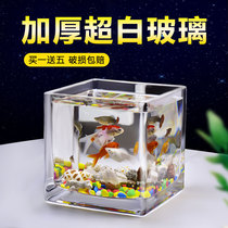 Small fish tank with oxygen glass square desk green dime hydroponics household small fish creative transparent small