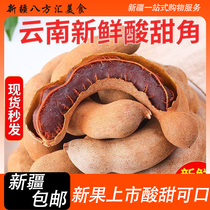 Xinjiang tamarind Yunnan specialty sweet tamarind natural preserved fruit tamarind casual snacks for children and pregnant women fresh