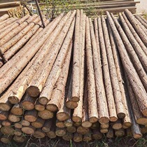 Wooden pile driving column outdoor river engineering measurement fixed-point fence landscaping tree support pole fir wood pile