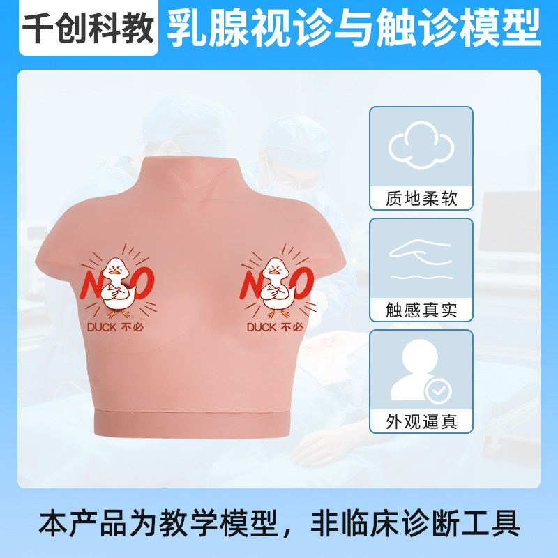 高级乳腺视诊触诊模型临床教学 进口塑胶触感真实多病变体征模拟 恶性肿瘤结节淋巴转移乳头凹陷教学教具