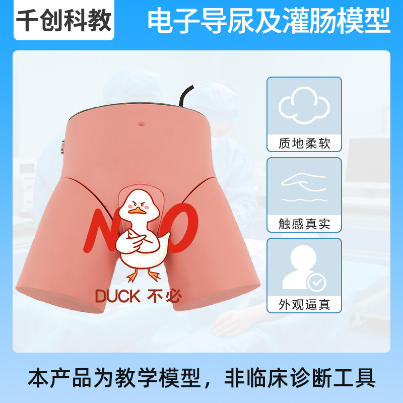 男女导尿灌肠训练模型电子光感反馈模块化解剖结构体位可调医学教具 尿道膀胱定位警示模拟尿液回流实训器材