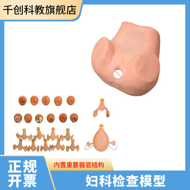 妇科检查模型妇产科检查培训模拟器腹腔盆腔子宫宫颈检查模具
