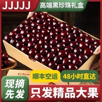 Chile imported cherries 5 pounds extra large SF fresh fruit whole box cherry high-end gift box