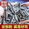 [This Year's New Sunflower Seeds]Original Flavor Sunflower Seeds, Cooked Sunflower Seeds, New Stock, Large Bag, Loose-Packed Raw Sunflower Seeds from Inner Mongolia