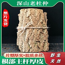 Funiu Mountain wild grown old tree Eucommia main stem thick skin whole piece 500g sulfur-free non-Chinese medicinal materials soaked in wine and water