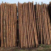 Telescopic pole larch wood pine wood pile piling wood outdoor river slope protection log solid wood pile greening fir