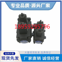 Northern Seiki Duplex Pump VPVCC-F1212 F2020 F3030 4040-A1A1 A2A2 A3A3-02