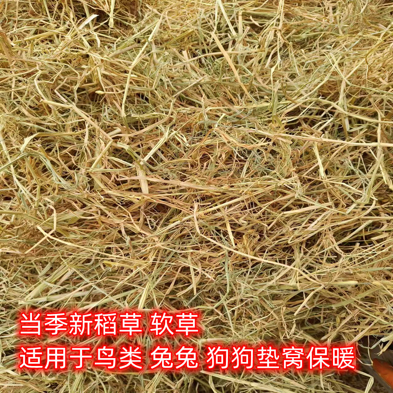 Pet Mat Nest Dry Straw Dog Cat Chicken Duck Goose Rabbit Bird Winter Paving for Heating Anti-chill Soft straw-Taobao