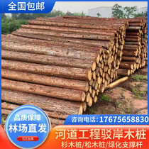 Fir log piles outdoor river revetment pine solid wood piles green seedlings support rods larch log piling
