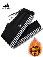 Спортивные осенние штаны