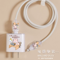 Apple, iPhone20, прозрачное зарядное устройство, рабочий комплект, 20W, 4 предмета