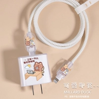 Apple, iPhone20, прозрачное зарядное устройство, рабочий комплект, 20W, с медвежатами, 4 предмета