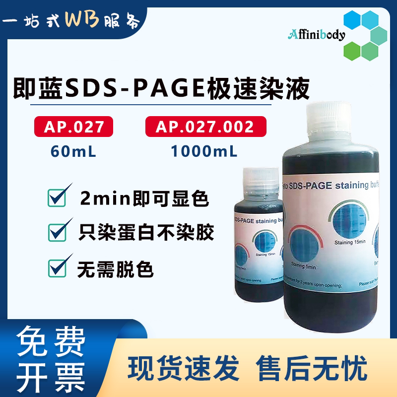 无毒无刺激SDS-PAGE染液 高品质即蓝PAGE胶染液 实验室适用
