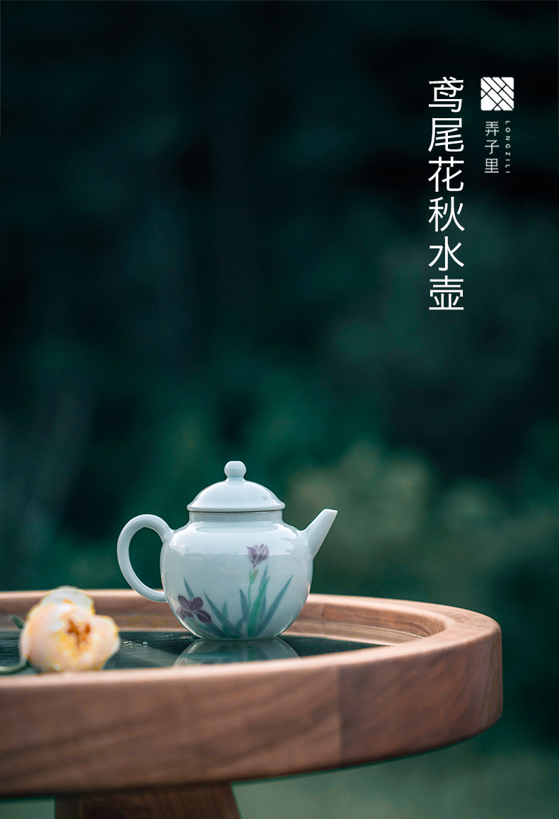 Made in jingdezhen kung fu tea teapot manual hand - Made household irises archaize mud in the fall of the kettle