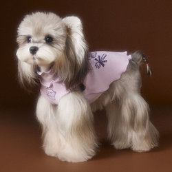Tony Bear Puppy Clothes Autumn Vest Schnauzer Pomeranian Shiba Inu Chihuahua Dachshund Maltese Cat