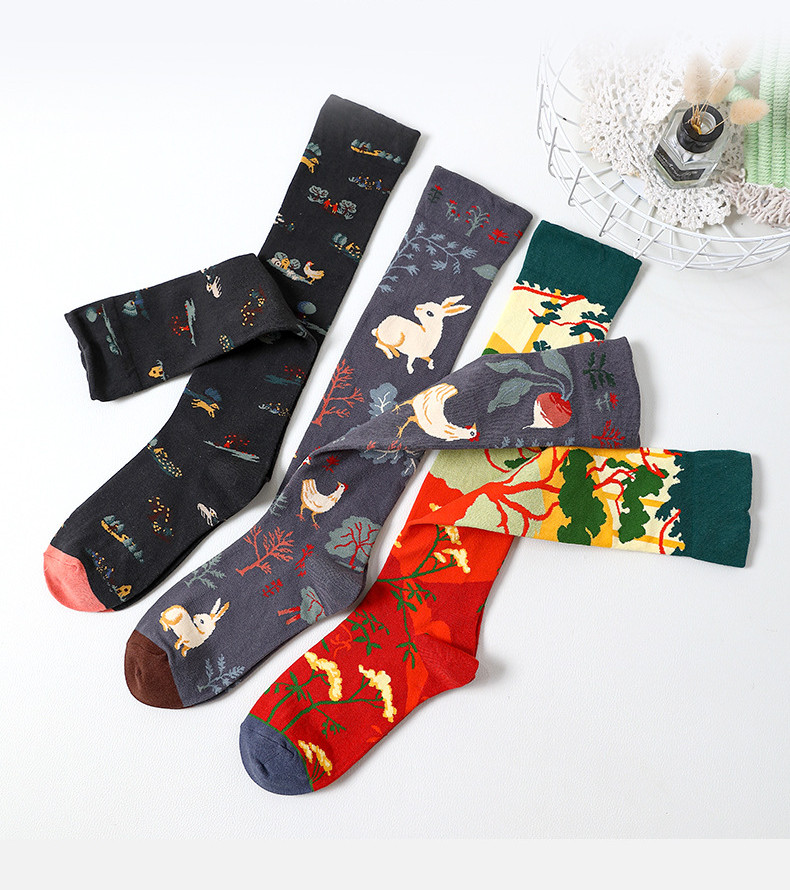 Носки medium and high tube calf and knee socks french ins style re Aishang