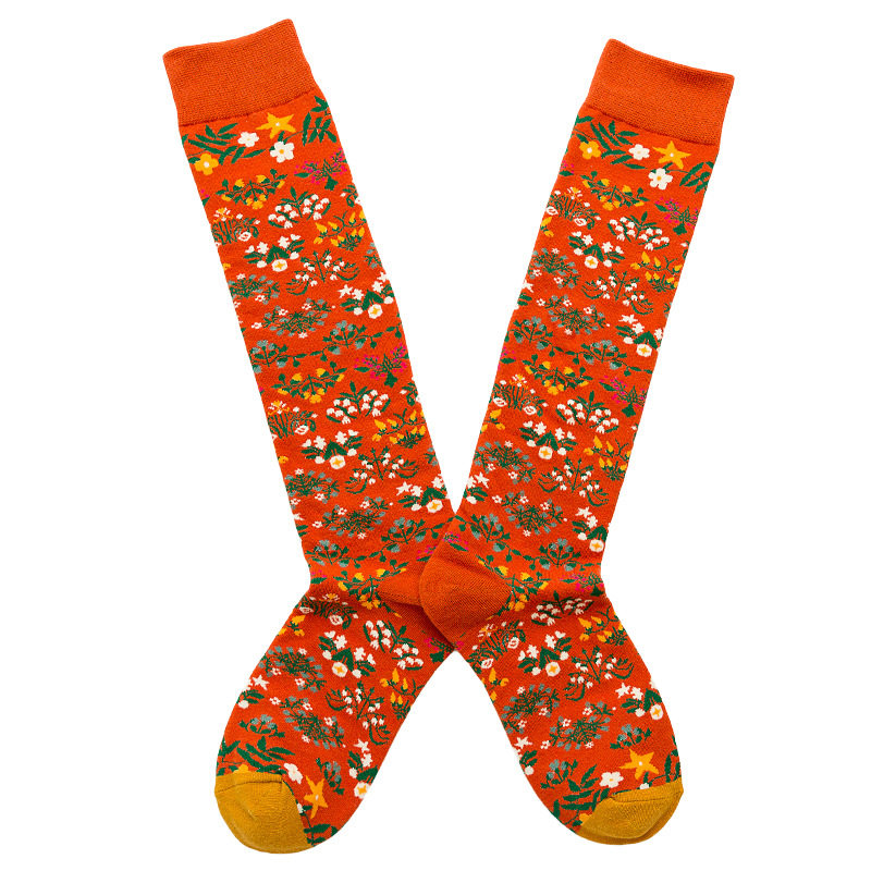 Носки medium and high tube calf and knee socks french ins style re Aishang