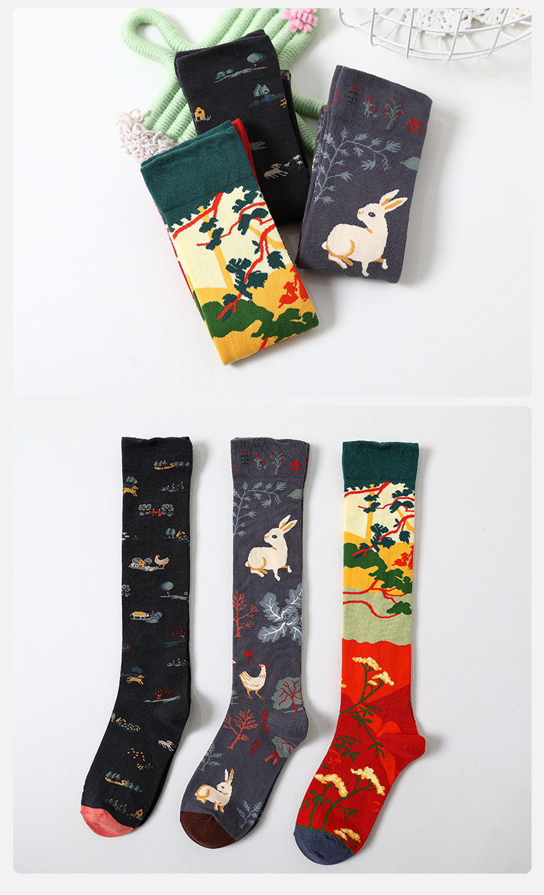 Носки medium and high tube calf and knee socks french ins style re Aishang