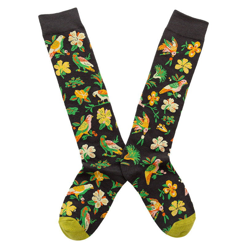 Носки medium and high tube calf and knee socks french ins style re Aishang