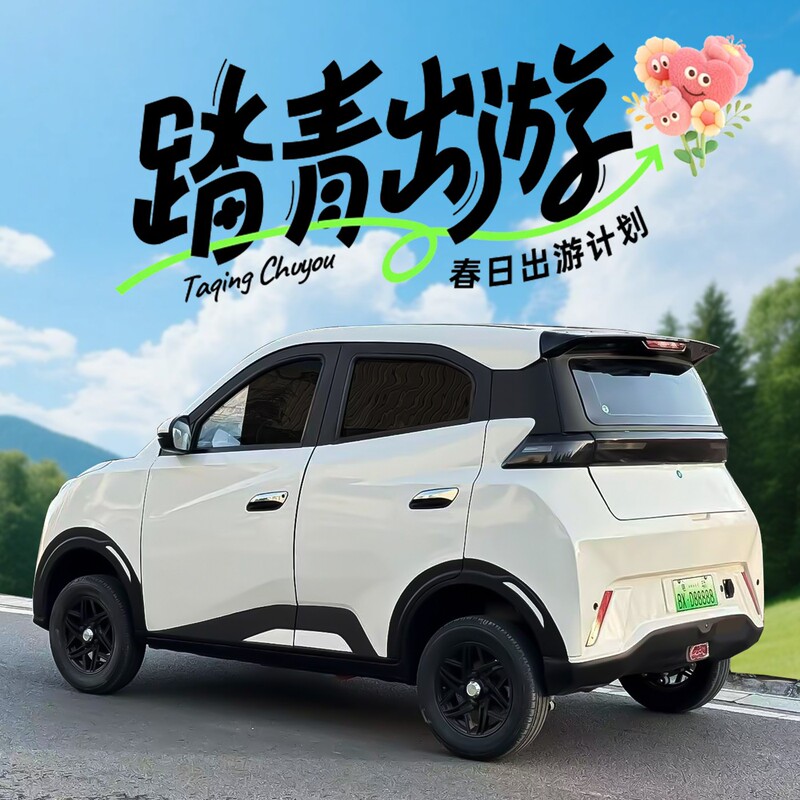 2026 New Model Household Four-Wheel Electric Vehicle with Small Air Conditioning, Lithium Battery, Women's Mobility Scooter, Fully Enclosed Electric Car