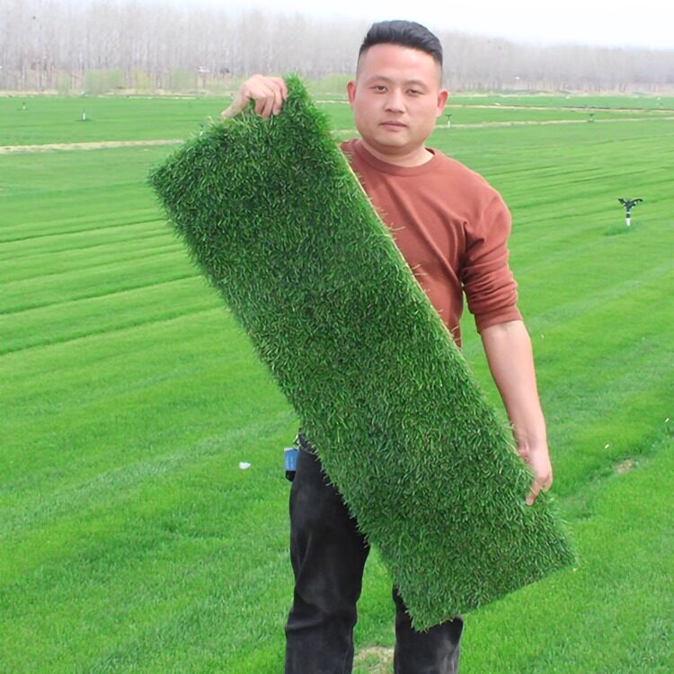 济南草坪基地直销的LOGO