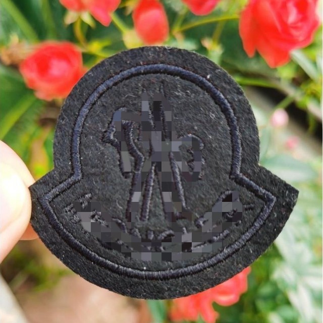 Embroidered Logo Patches, Colorful Badges, Fabric Patches for Clothing and Bags, Decorative Patches, Adhesive-Backed Hook-And-Loop Patches