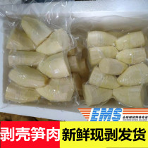 Freshly peeled green bamboo shoot meat can be used as salad hot pot round-shaped sweet bamboo shoots Gutian water chestnut bamboo shoots and Taiwanese fruit bamboo shoots