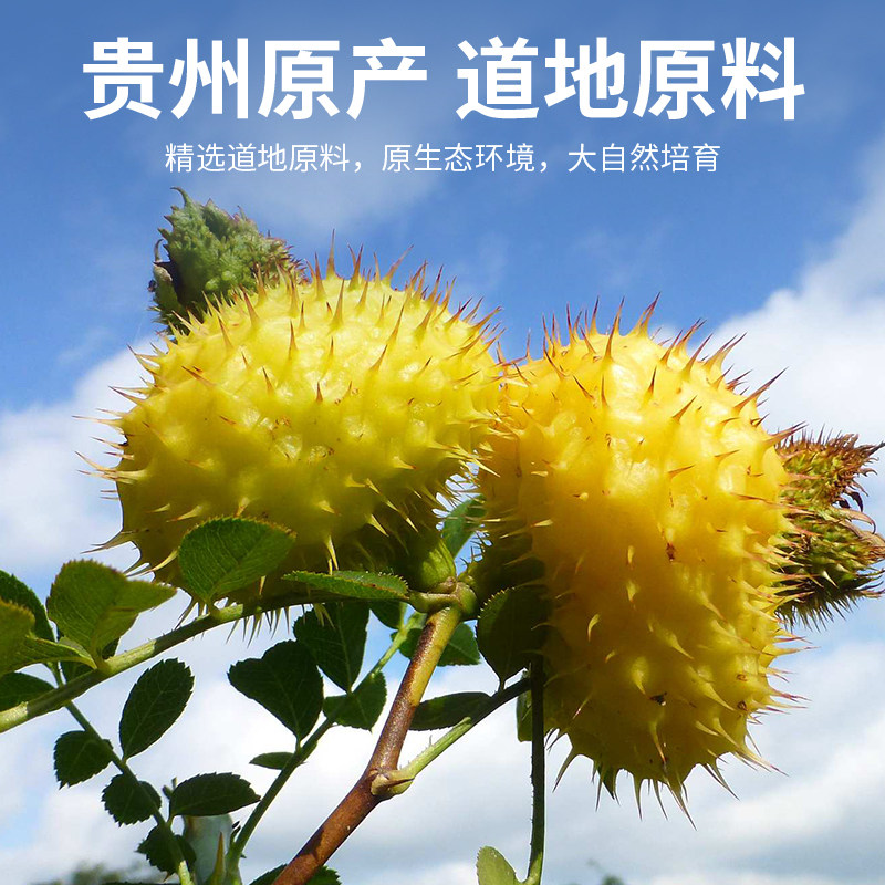 同仁堂刺梨茶:贵州山野间的维C馈赠-刺梨-淘宝百科网