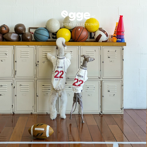 Egge Bellington, трикотаж в стиле ретро, весенне-летняя легкая одежда для собак, двуногие