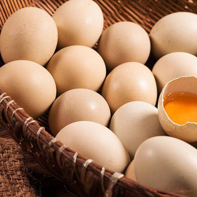 如何挑选正宗千岛湖农家散养土鸡蛋?从新鲜草鸡蛋到孕妇月子营养优选