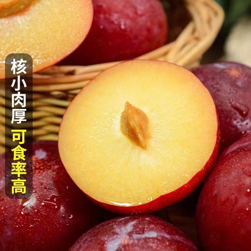 顺丰大果智利珠宝李樱桃李子新鲜5斤水果西梅鲜果 当季孕妇最爱整箱10!-李子-淘宝好物网