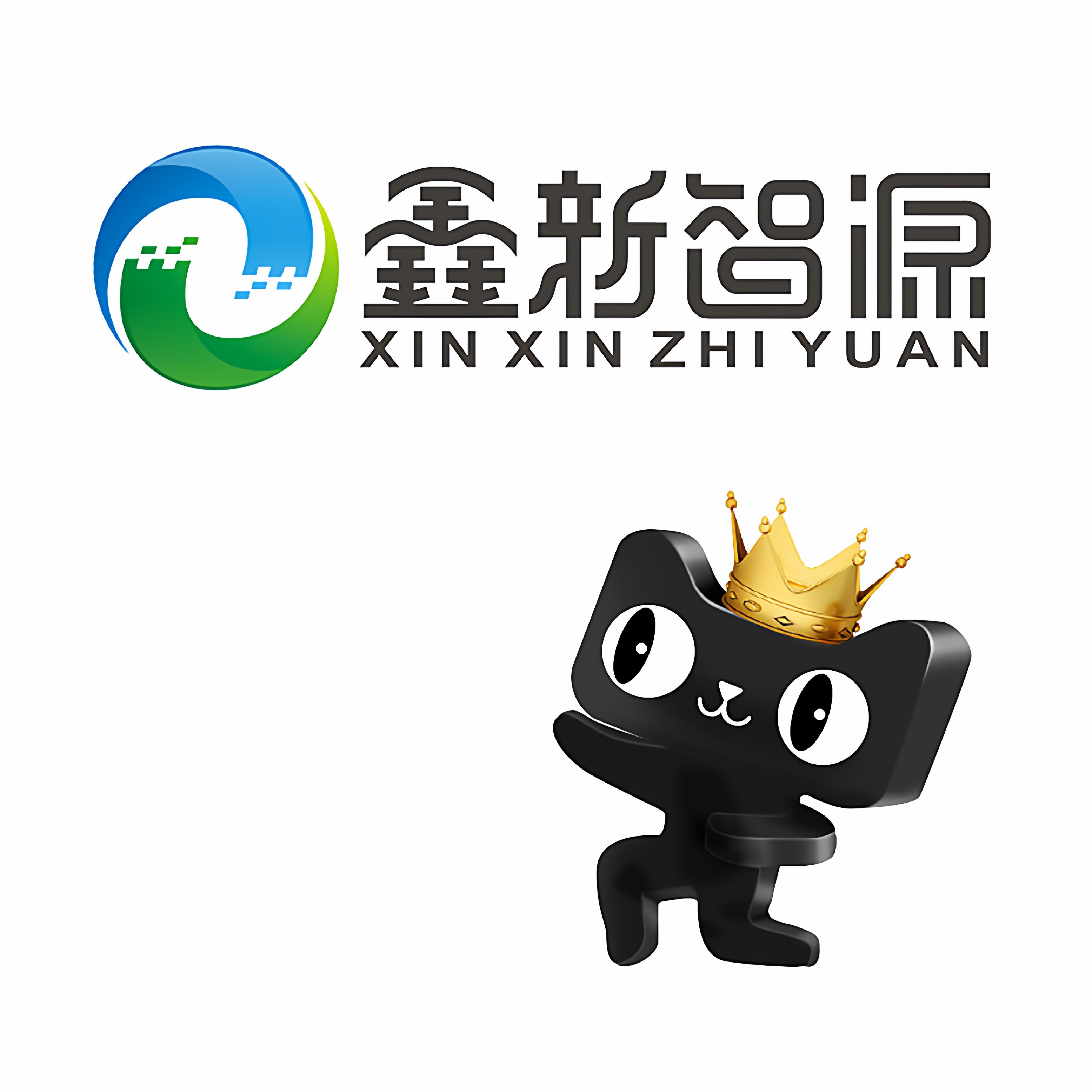 cnszxxzy旗舰店的LOGO