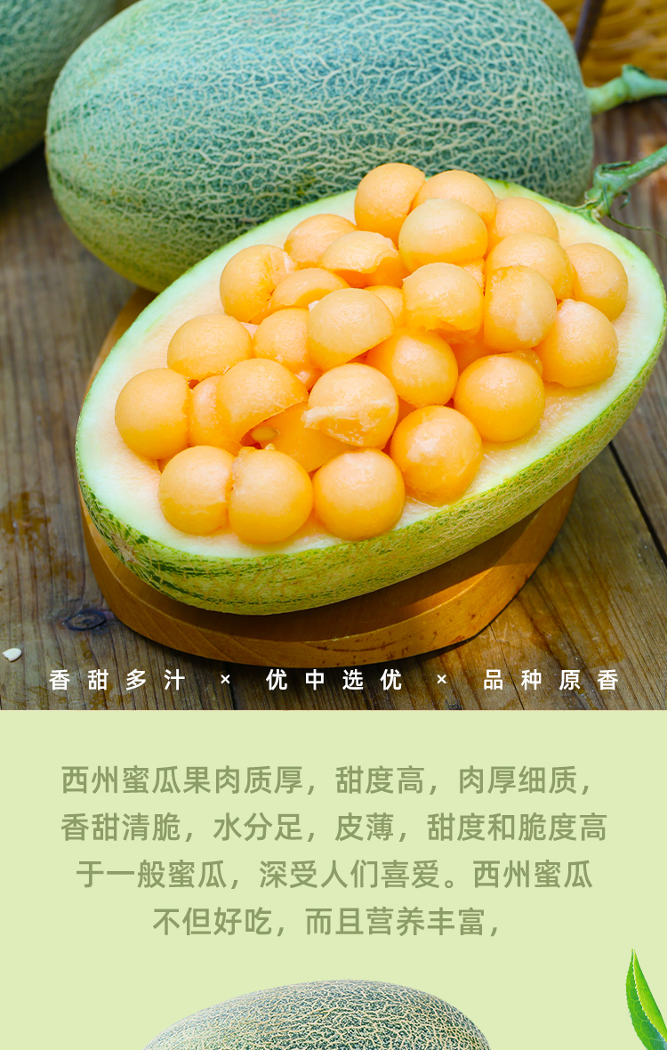 源生鲜 海南西州蜜25号哈密瓜 净重4.5斤 19.9元包邮 值值值-买手聚集的地方
