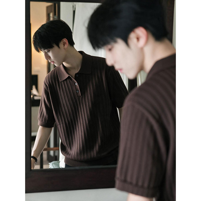Brown Old Money Style Polo Shirt Short-Sleeved Men's Summer Casual Fit Regular Shoulder Lapel T-Shirt American Knit Half-Sleeve