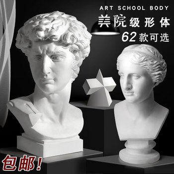 Plaster Statue of David, Plaster Art Teaching Aids, Plaster Head Model, Commonly Used in Studios, Plaster Sculpture, Plaster Head Model Teaching Aids, Art Supplies, Educational Distribution, Large Figure Sketching, Human Head, Art Exam Plaster
