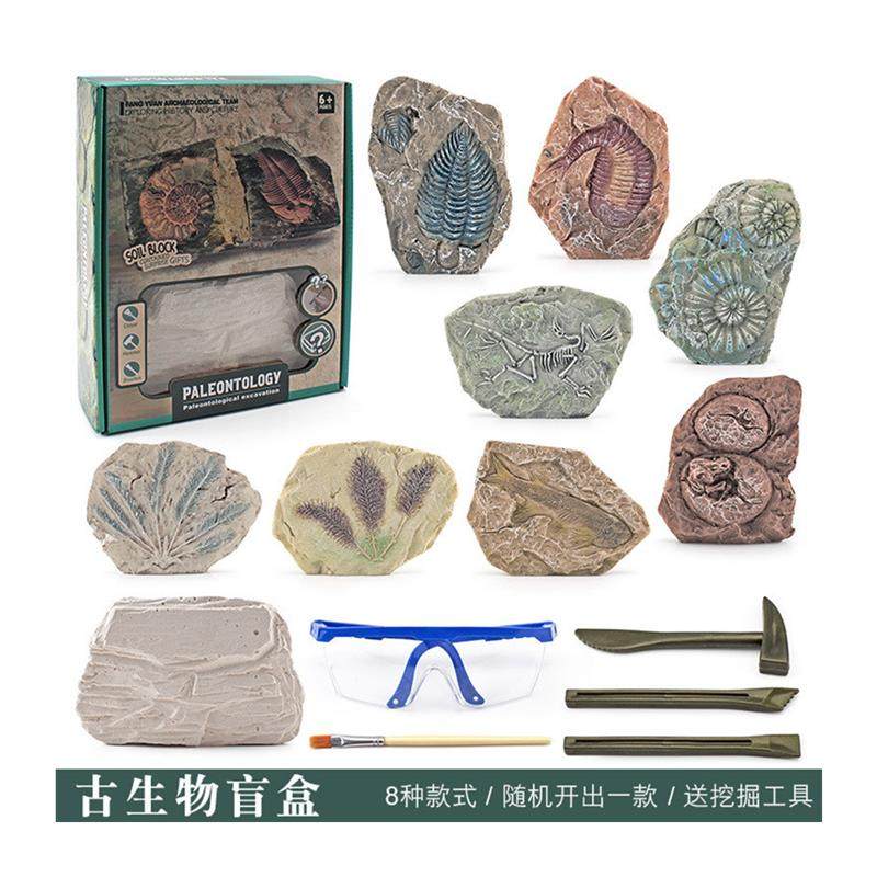 New Cross-Border Children's Realistic Archaeological Excavation Animal and Plant Fossil Models: Cycad, Pterosaur, Crocodile Head, Tyrannosaurus Skeleton