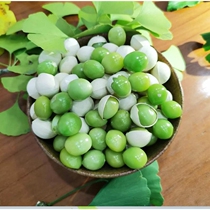 2023 Yunnan specialty Tengchong ginkgo fruit fresh ancient tree waxy ginkgo emerald green fruit straight hair 500g