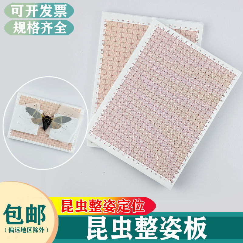 标本昆虫整姿板蝴蝶展翅展翅板标本扎针整姿制作工具 高密度EVA板