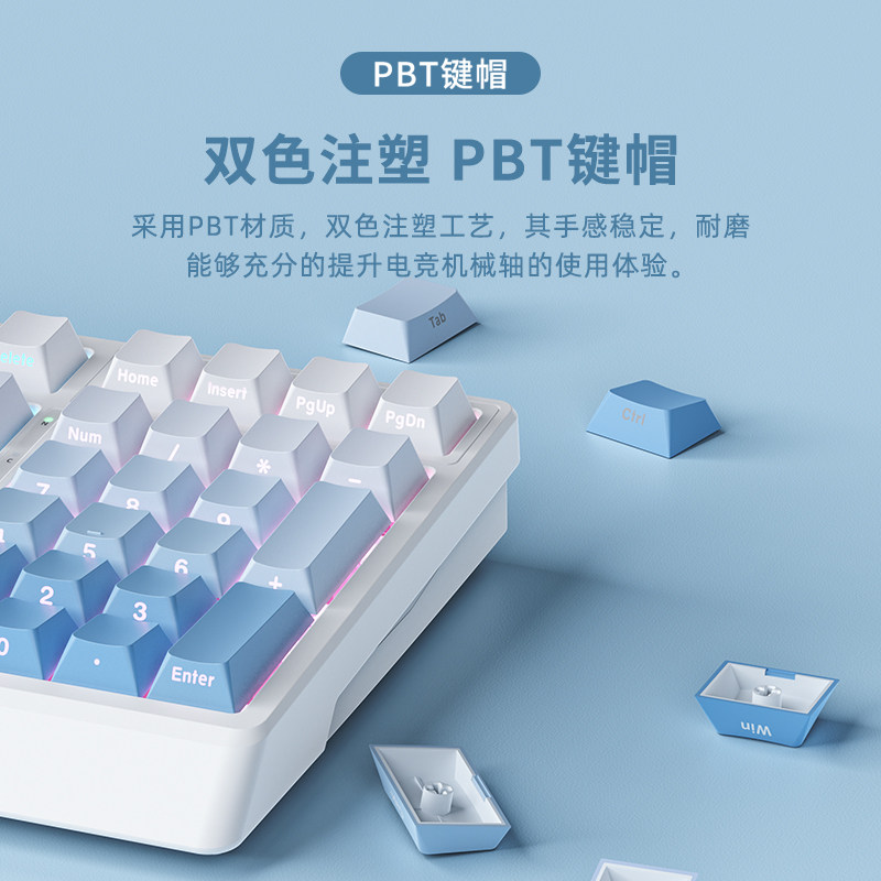 Ruiyi F99Pro Mechanical Keyboard Wireless Three-Mode 98-Key Layout Bluetooth Office E-Sports Gaming Keyboard Red Switch Brown Switch