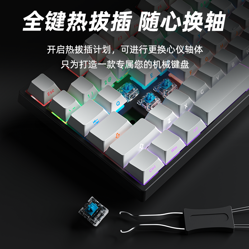 Ruiyi A87 Wired Mechanical Keyboard 87 Keys Side-Engraved Blackberry Customized E-Sports Gaming Office Hot-Swappable Keyboard