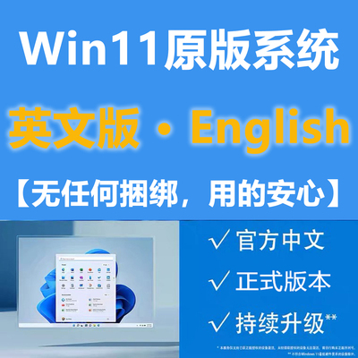 Win10 Artificial Remote System/Win11 English Version System English Original System Pure Professional Version Win10 Artificial Remote System/Win11 English Version System English Original System Pure Professional Version