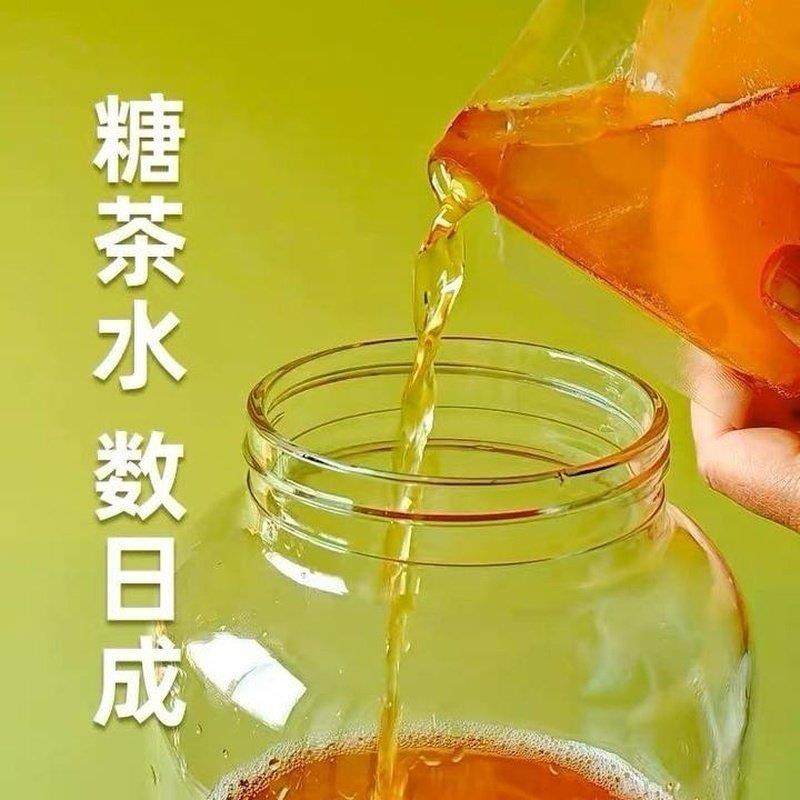 Authentic Black Tea Bacteria Strain, Stomach-Protecting and Health-Promoting Bacteria for Home Use, Homemade Kombucha Beverage [Fruit Yeast Strain]