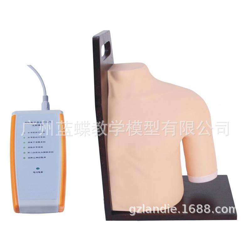 肩关节腔内注射模型 肩关节穿刺触诊定位训练 肩关节注射治疗正品